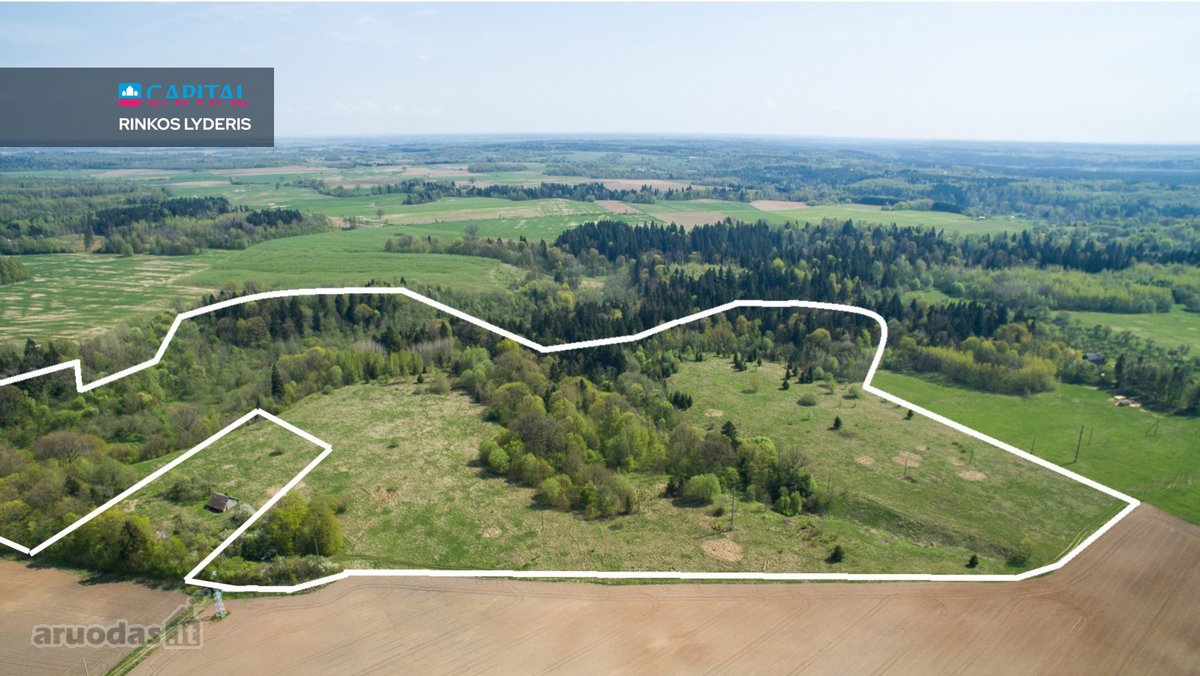 Parduodamas 1336 a. žemės ūkio paskirties - nuotraukos Nr. 4