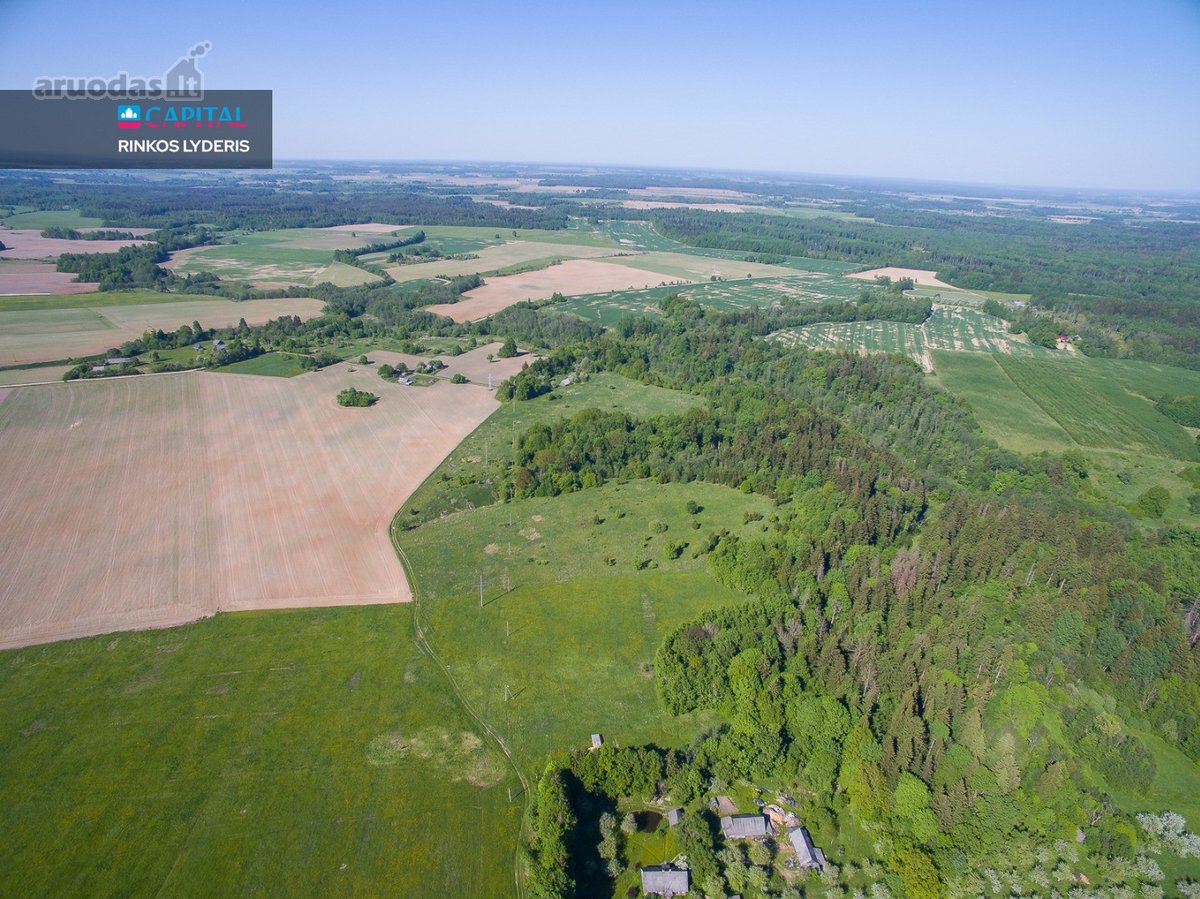 Parduodamas 1336 a. žemės ūkio paskirties - nuotraukos Nr. 8