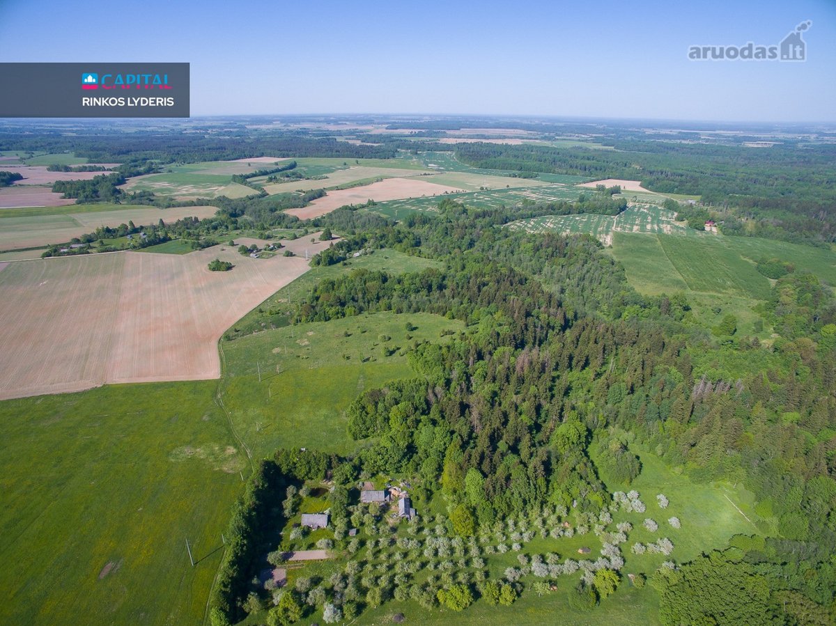 Parduodamas 1336 a. žemės ūkio paskirties - nuotraukos Nr. 9