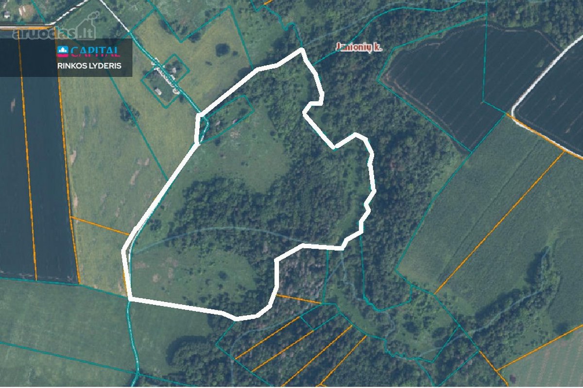 Parduodamas 1336 a. žemės ūkio paskirties - nuotraukos Nr. 10