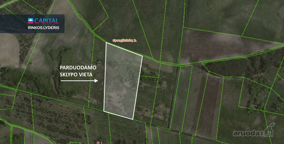 Parduodamas 459 arų žemės ūkio paskirties - nuotraukos Nr. 3