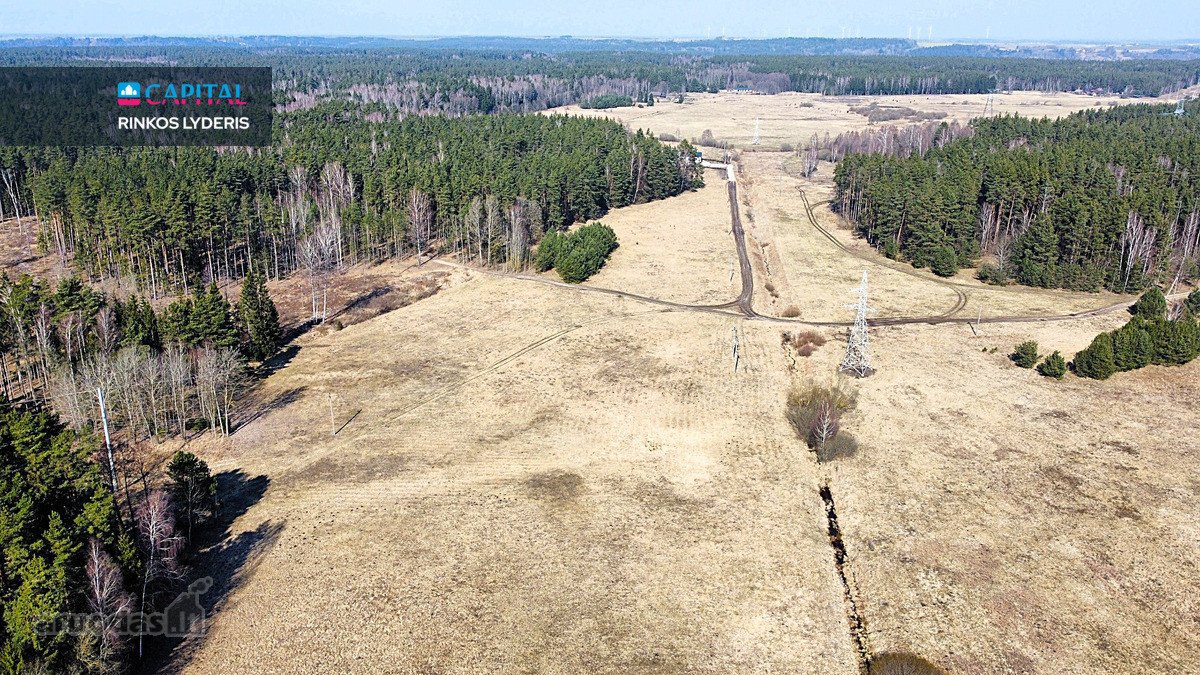 ! Miškų Apsuptyje Parduodamas 1,38 Ha - nuotraukos Nr. 2