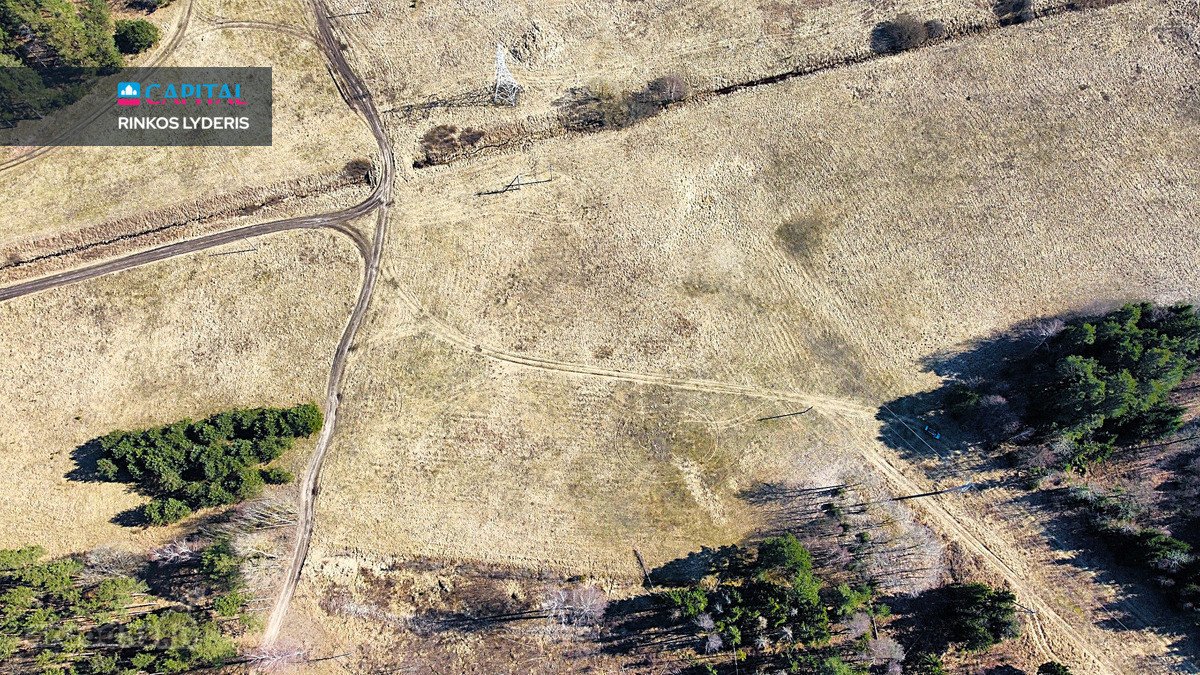 ! Miškų Apsuptyje Parduodamas 1,38 Ha - nuotraukos Nr. 3