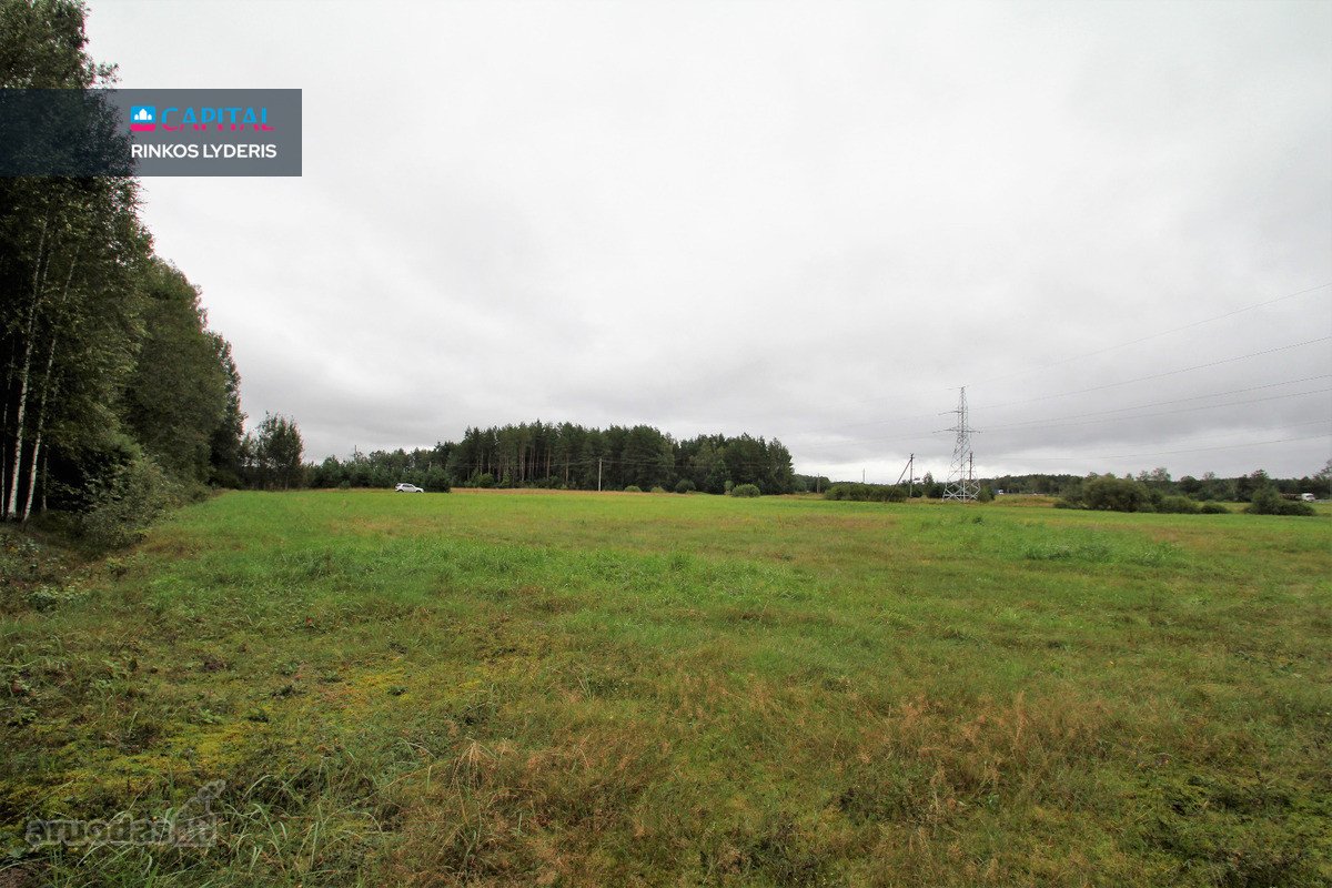 ! Miškų Apsuptyje Parduodamas 1,38 Ha - nuotraukos Nr. 5