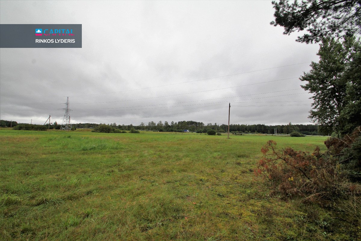 ! Miškų Apsuptyje Parduodamas 1,38 Ha - nuotraukos Nr. 6