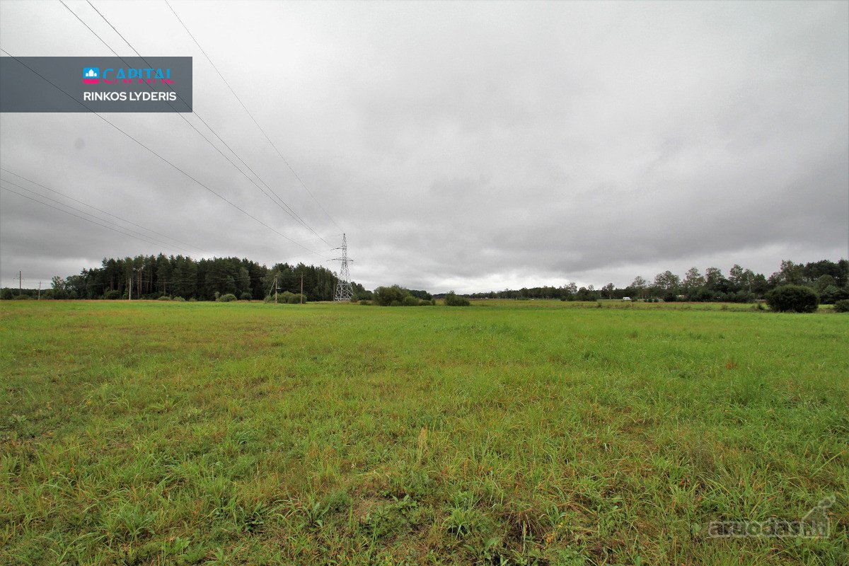 ! Miškų Apsuptyje Parduodamas 1,38 Ha - nuotraukos Nr. 7