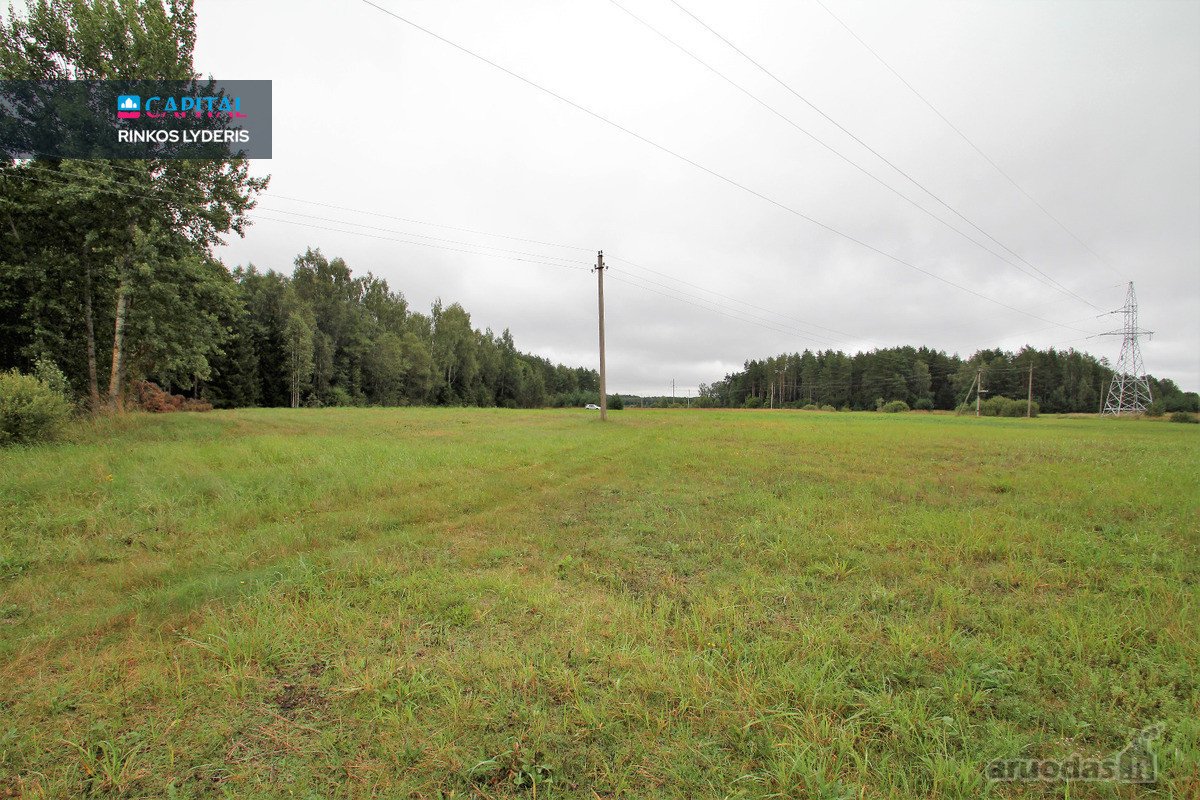 ! Miškų Apsuptyje Parduodamas 1,38 Ha - nuotraukos Nr. 8