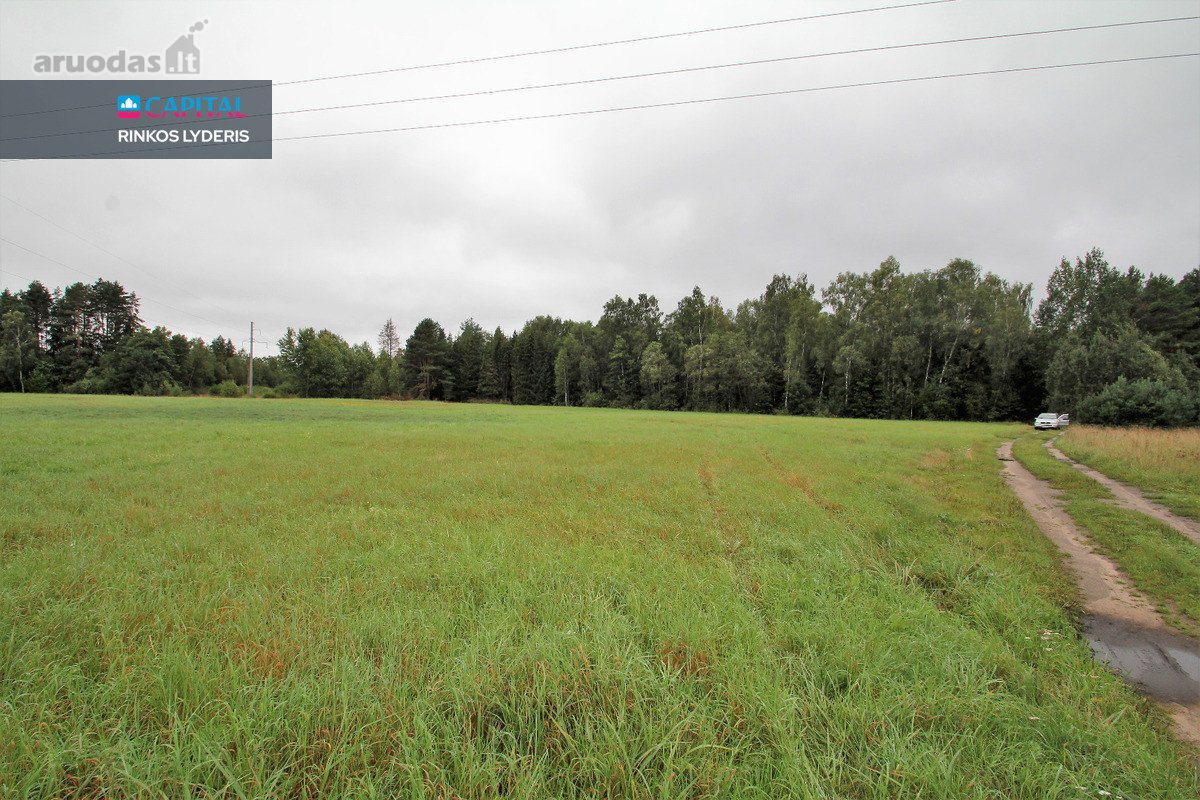 ! Miškų Apsuptyje Parduodamas 1,38 Ha - nuotraukos Nr. 9