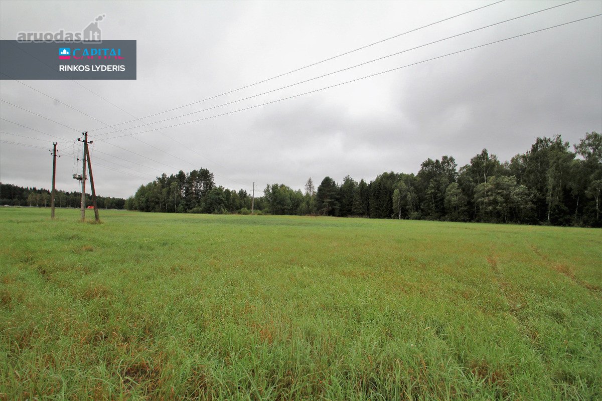 ! Miškų Apsuptyje Parduodamas 1,38 Ha - nuotraukos Nr. 10