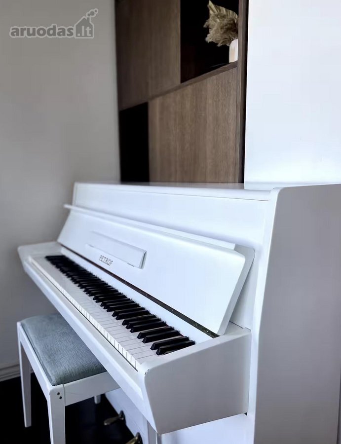 Išnuomojamas erdvus 3 kambarių butas - nuotraukos Nr. 6