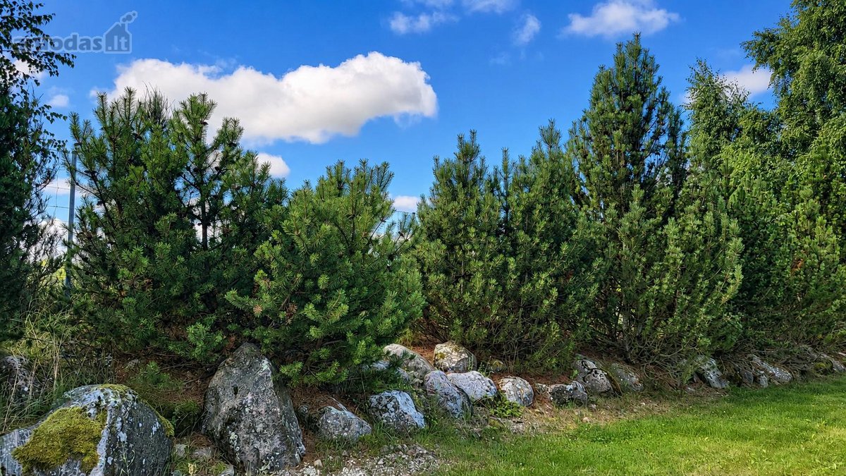 Jaukus mūrinis vieno aukšto namas su 80 kv m - nuotraukos Nr. 28