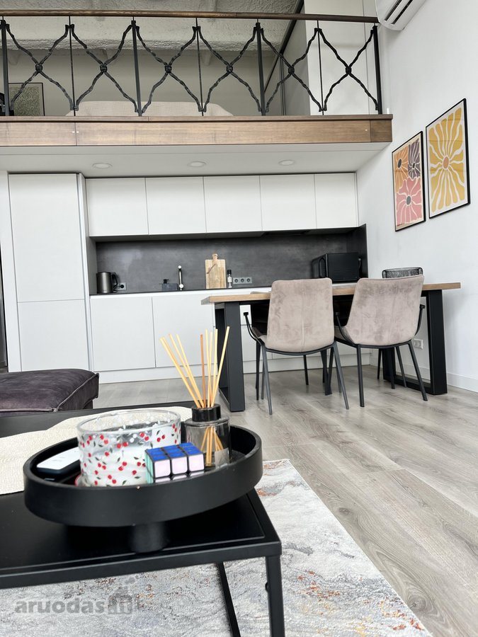 Išnuomojamas Jaukus Loftas „haus.38“ Projekte - nuotraukos Nr. 6