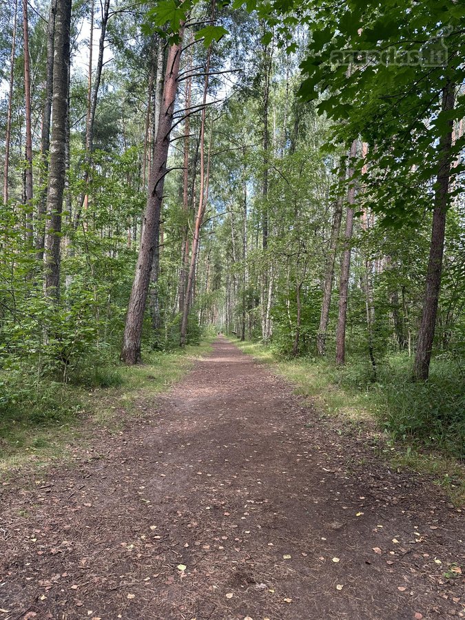 Parduodamas Kokybiškai Įrengtas 2 Kambarių - nuotraukos Nr. 14