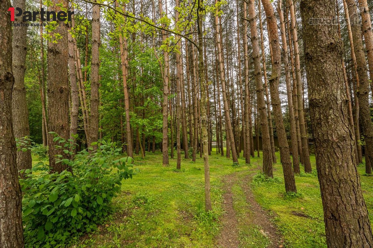 Parduodamas erdvus dviejų kambarių butas, pro - nuotraukos Nr. 24