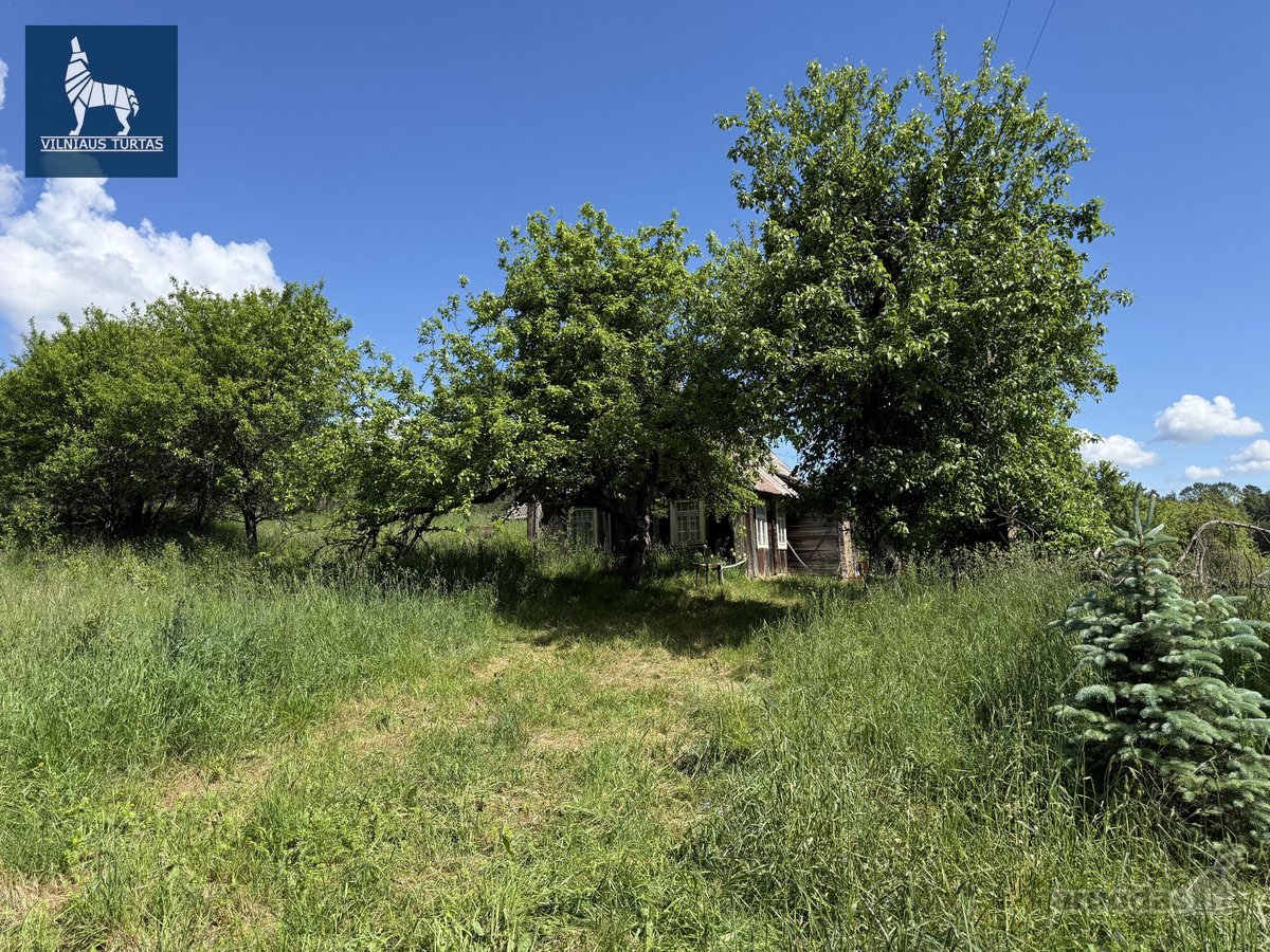 Sodyba Su 3,6 Ha Žemės Sklypu Pilypiškėse, - nuotraukos Nr. 2