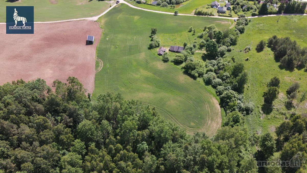 Sodyba Su 3,6 Ha Žemės Sklypu Pilypiškėse, - nuotraukos Nr. 11