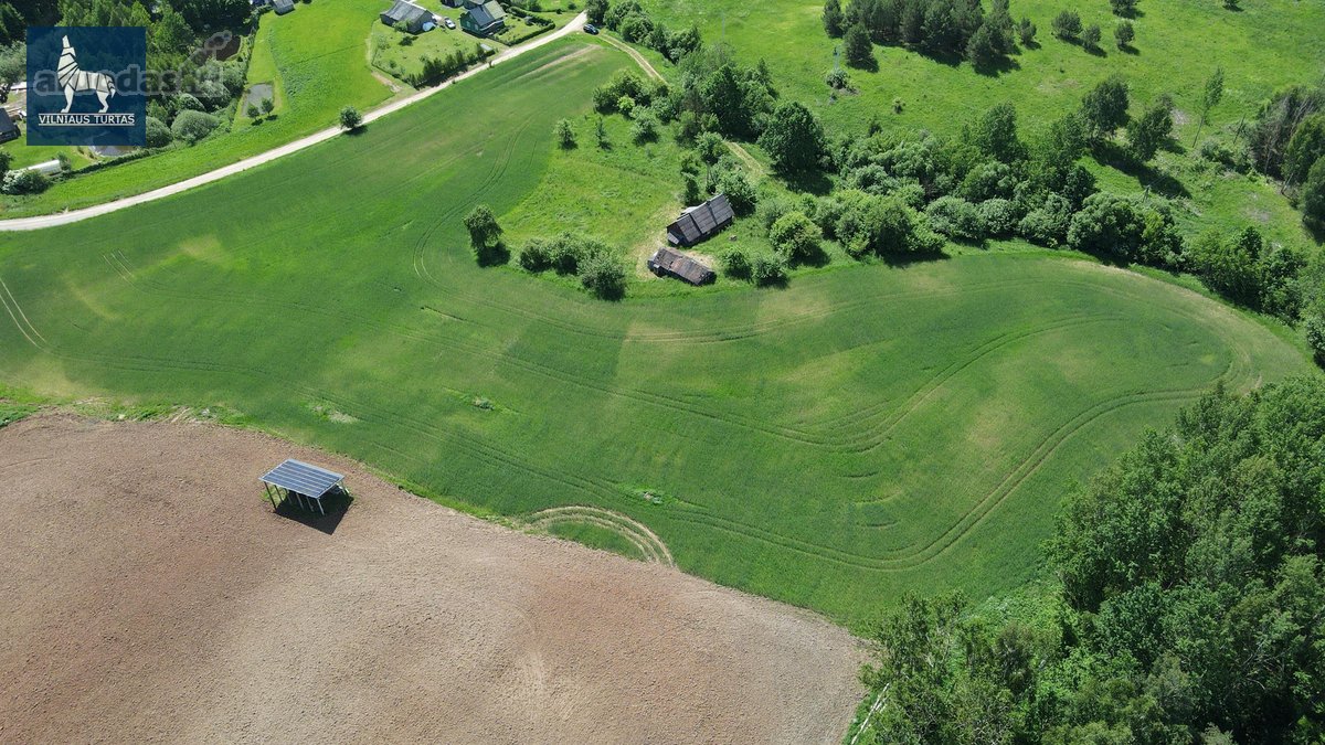Sodyba Su 3,6 Ha Žemės Sklypu Pilypiškėse, - nuotraukos Nr. 12