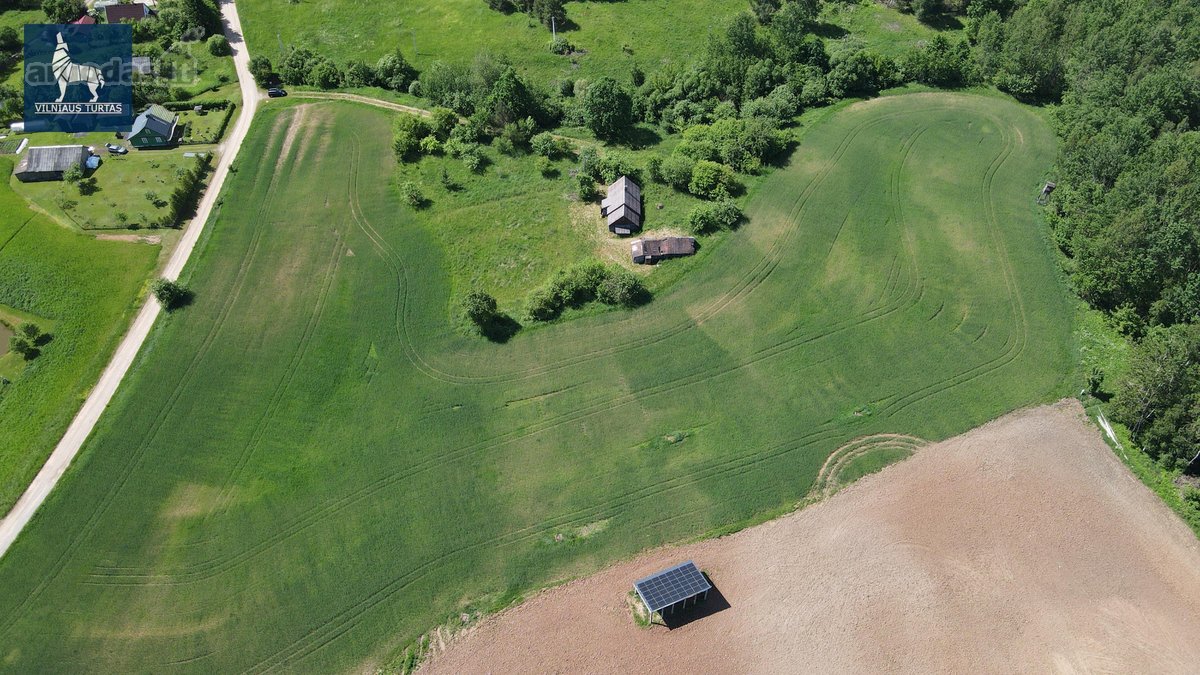 Sodyba Su 3,6 Ha Žemės Sklypu Pilypiškėse, - nuotraukos Nr. 13