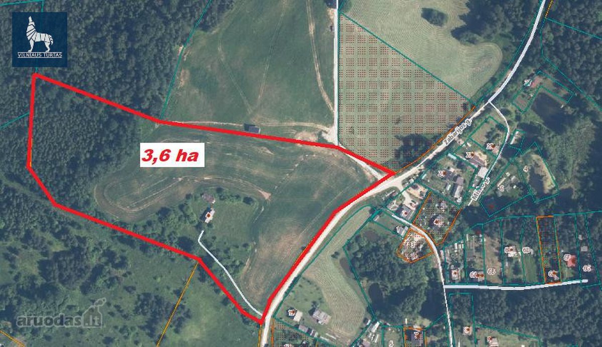 Sodyba Su 3,6 Ha Žemės Sklypu Pilypiškėse, - nuotraukos Nr. 14