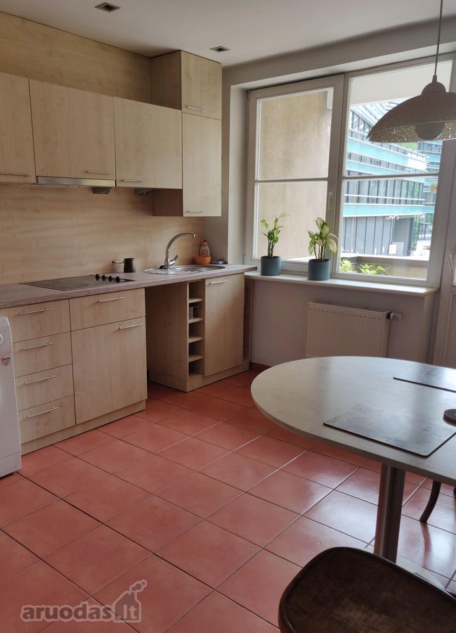 Išnuomojamas erdvus 64 m² butas Vilniaus - nuotraukos Nr. 4