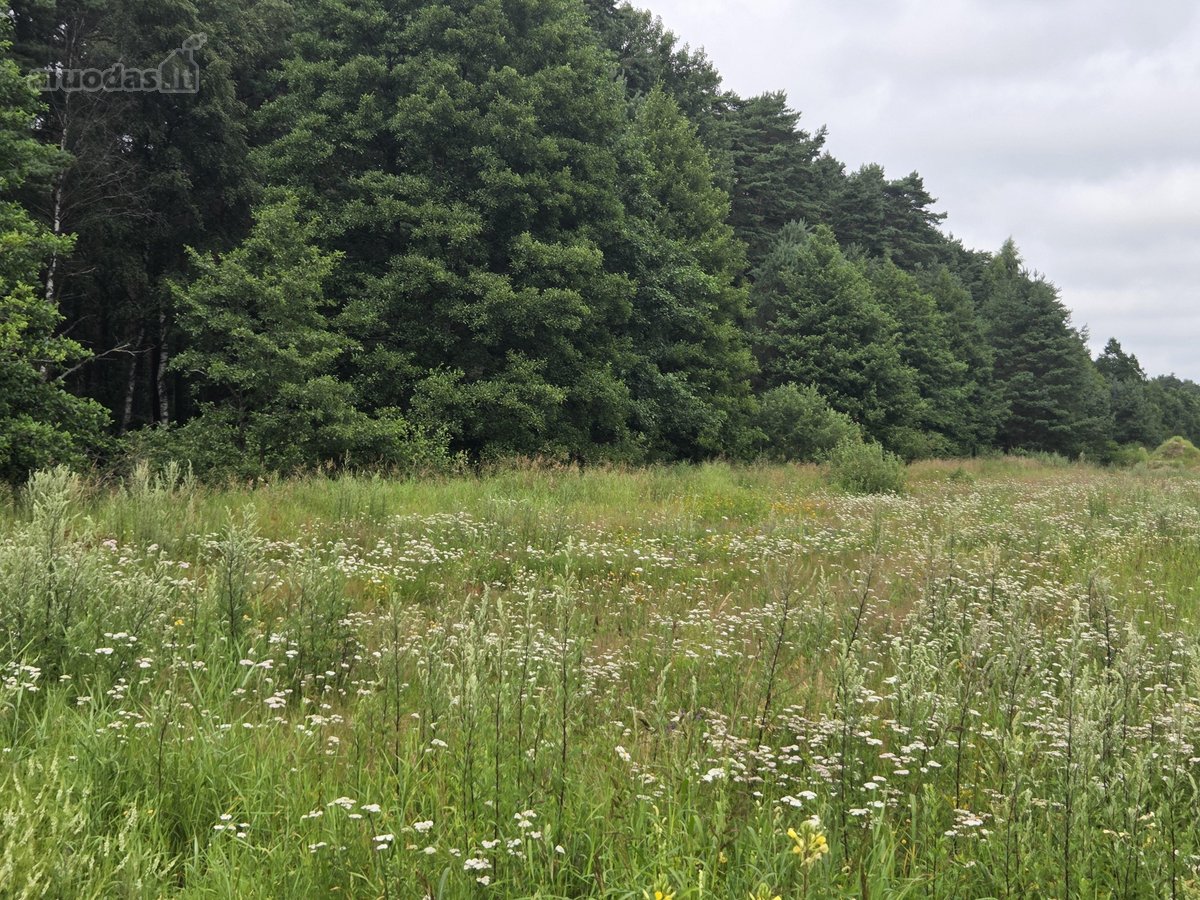 Parduodamas 17 arų žemės ūkio paskirties - nuotraukos Nr. 10