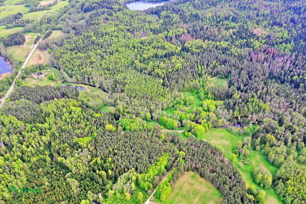 Parduodama sodybvietė ant Zalvės upės kranto, - nuotraukos Nr. 4