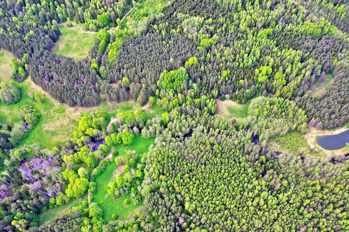 Parduodama sodybvietė ant Zalvės upės kranto, - nuotraukos Nr. 5