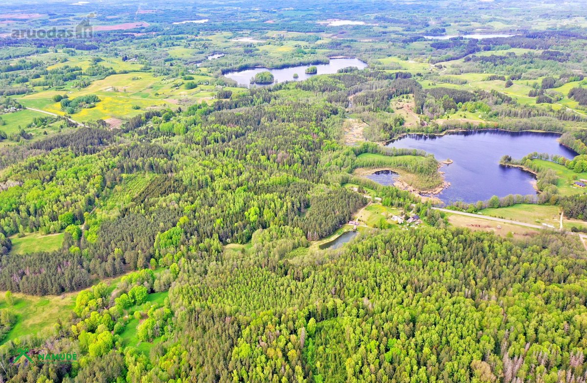 Parduodama sodybvietė ant Zalvės upės kranto, - nuotraukos Nr. 8
