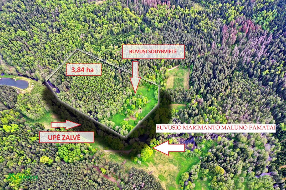 Parduodama sodybvietė ant Zalvės upės kranto, - nuotraukos Nr. 15
