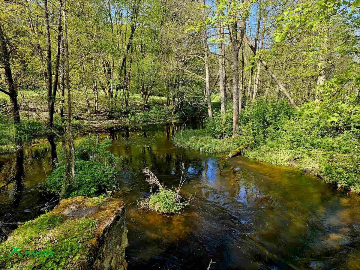 Parduodama sodybvietė ant Zalvės upės kranto, - nuotraukos Nr. 16