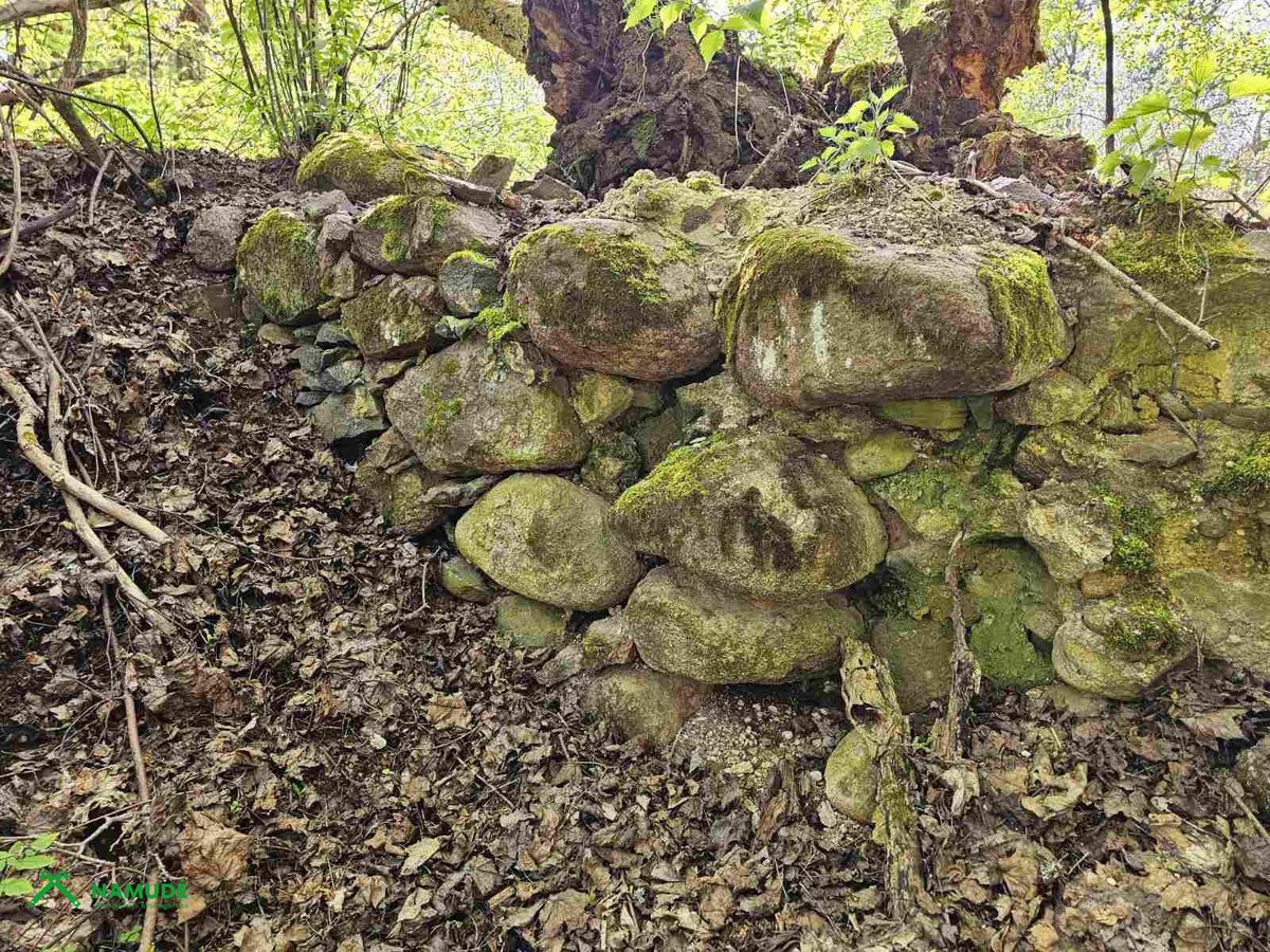 Parduodama sodybvietė ant Zalvės upės kranto, - nuotraukos Nr. 21