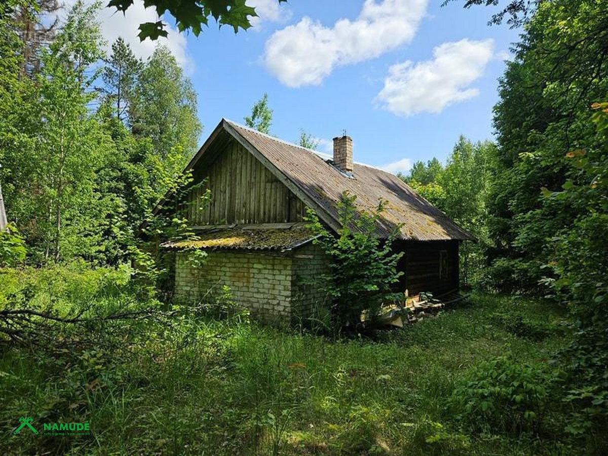 Parduodama sodyba miške prie Ignalinos, - nuotraukos Nr. 6