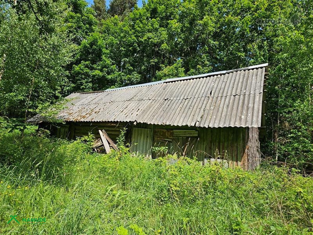 Parduodama sodyba miške prie Ignalinos, - nuotraukos Nr. 7