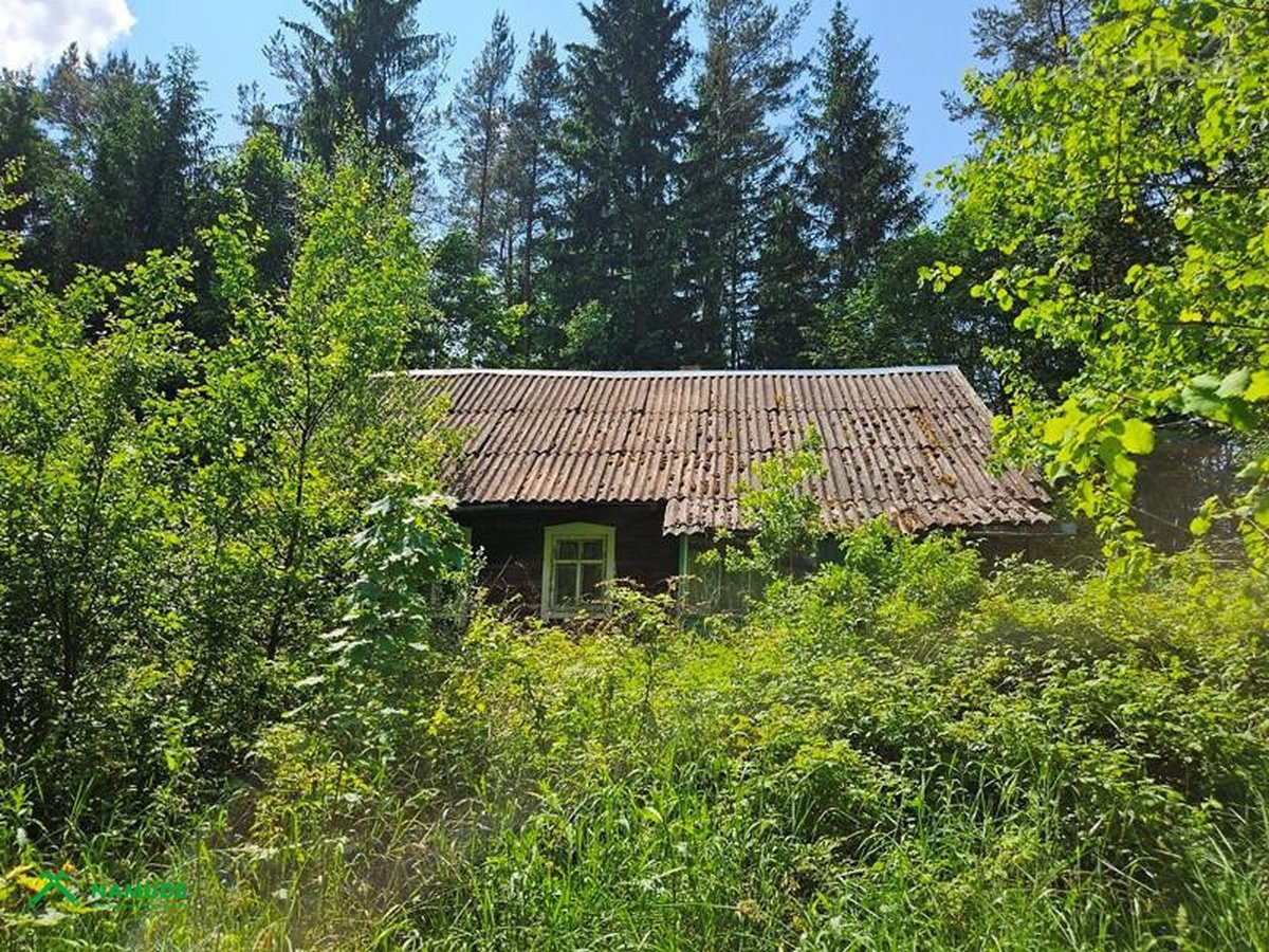 Parduodama sodyba miške prie Ignalinos, - nuotraukos Nr. 12