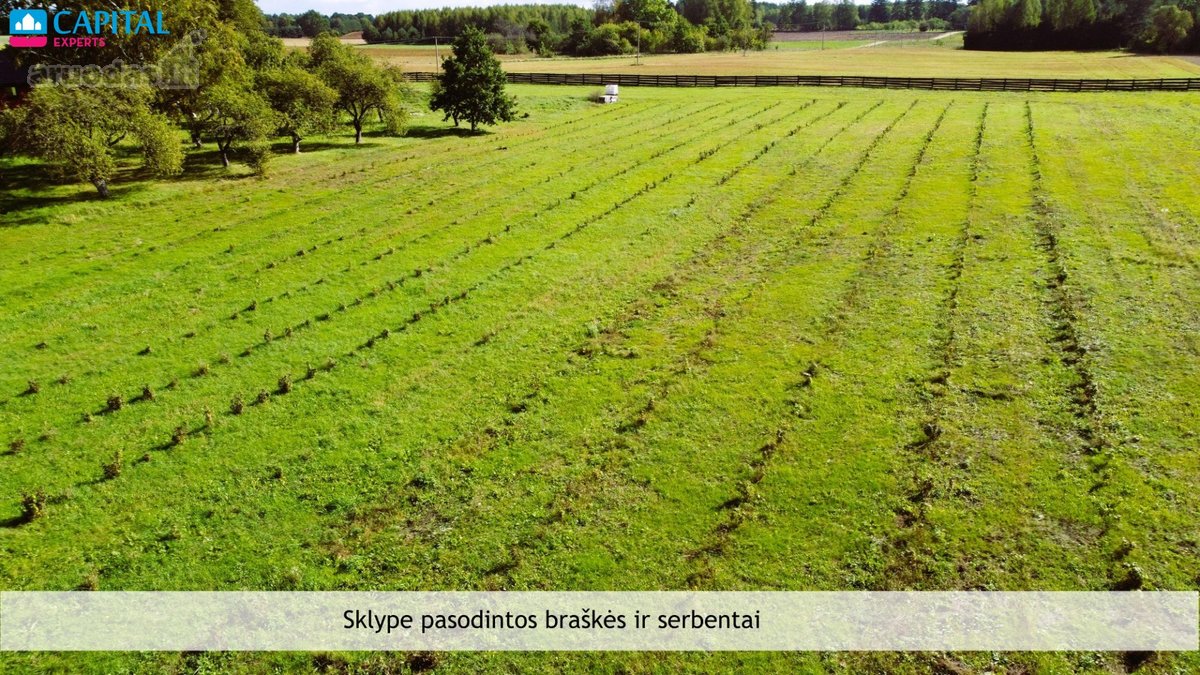 Varėnos r. sav., Pagirių k. parduodamas - nuotraukos Nr. 18