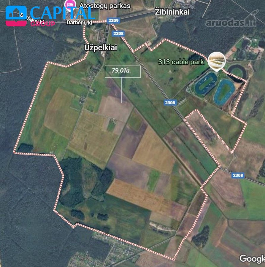 Parduodamas 79,01 Arų Žemės Ūkio Paskirties - nuotraukos Nr. 3