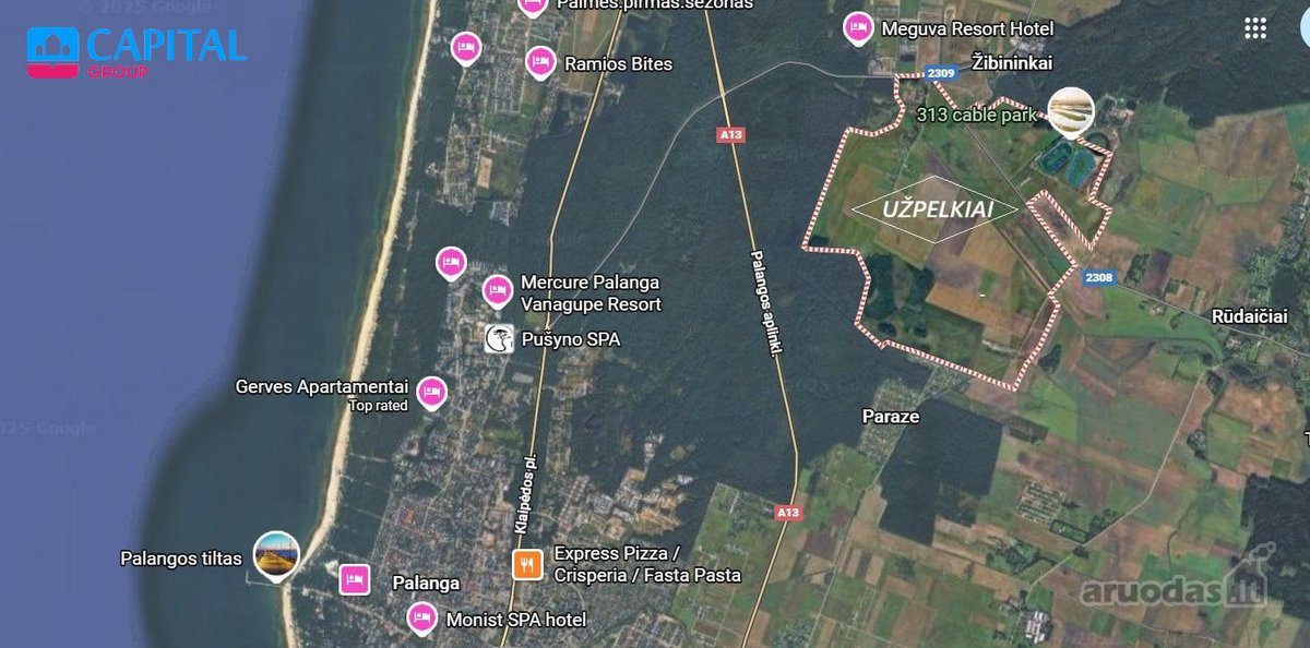Parduodamas 79,01 Arų Žemės Ūkio Paskirties - nuotraukos Nr. 4