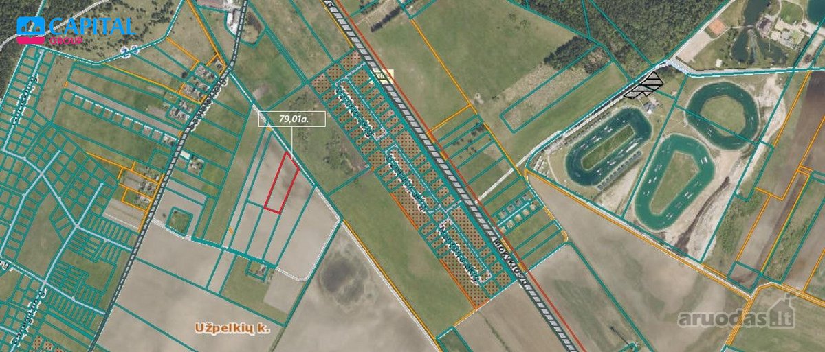 Parduodamas 79,01 Arų Žemės Ūkio Paskirties - nuotraukos Nr. 2