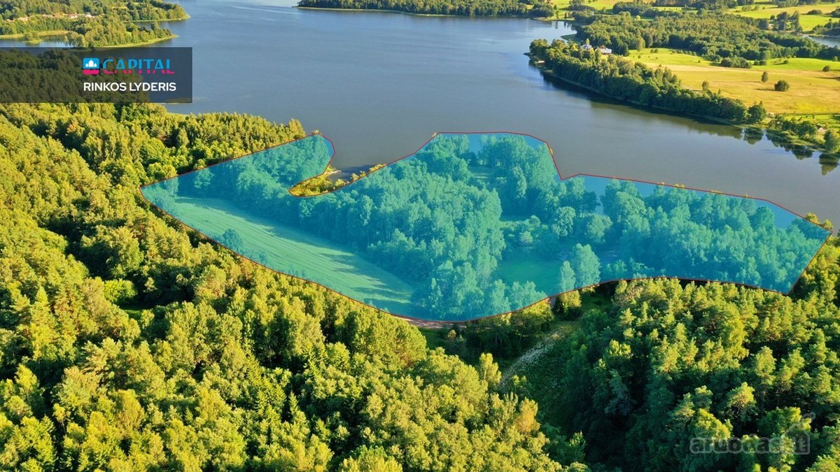 Išskirtinė 3,42 ha sodybvietė su beveik 500 m - nuotraukos Nr. 4
