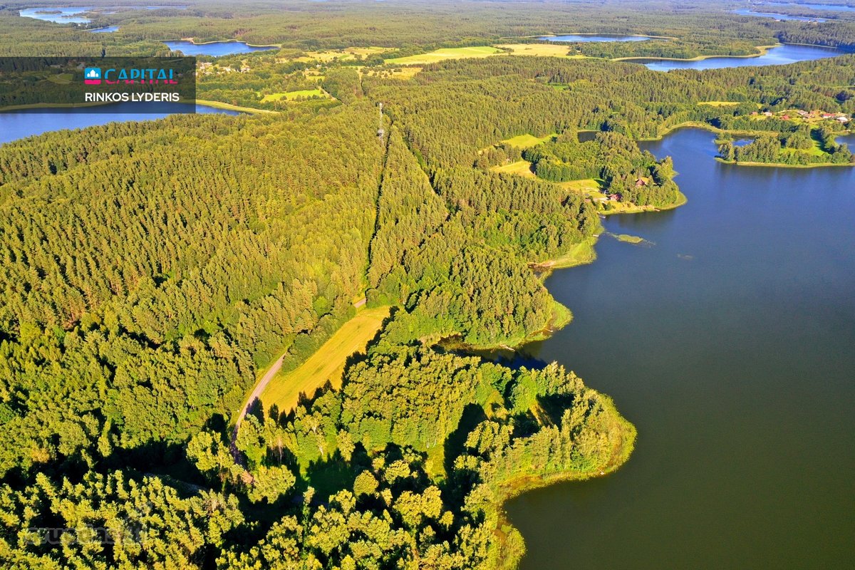 Išskirtinė 3,42 ha sodybvietė su beveik 500 m - nuotraukos Nr. 9