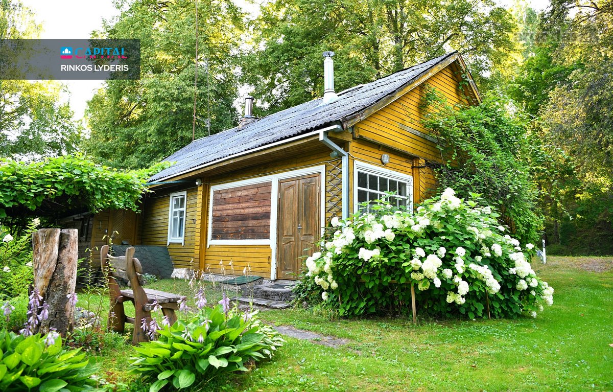 Išskirtinė 3,42 ha sodybvietė su beveik 500 m - nuotraukos Nr. 19