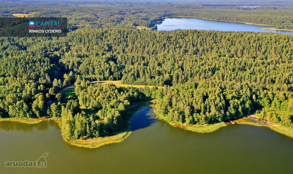 Išskirtinė 3,42 ha sodybvietė su beveik 500 m - nuotraukos Nr. 11