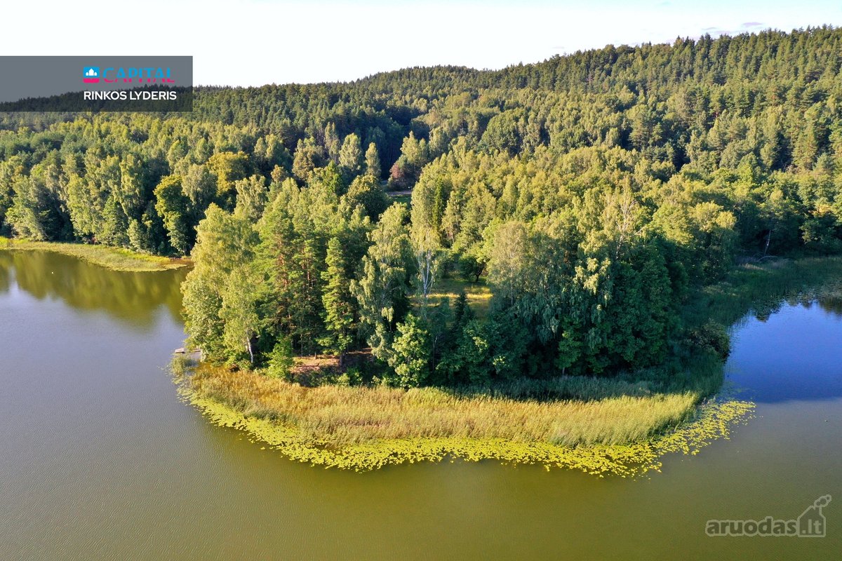 Išskirtinė 3,42 ha sodybvietė su beveik 500 m - nuotraukos Nr. 12