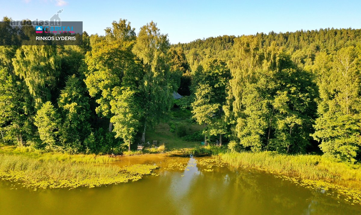 Išskirtinė 3,42 ha sodybvietė su beveik 500 m - nuotraukos Nr. 13