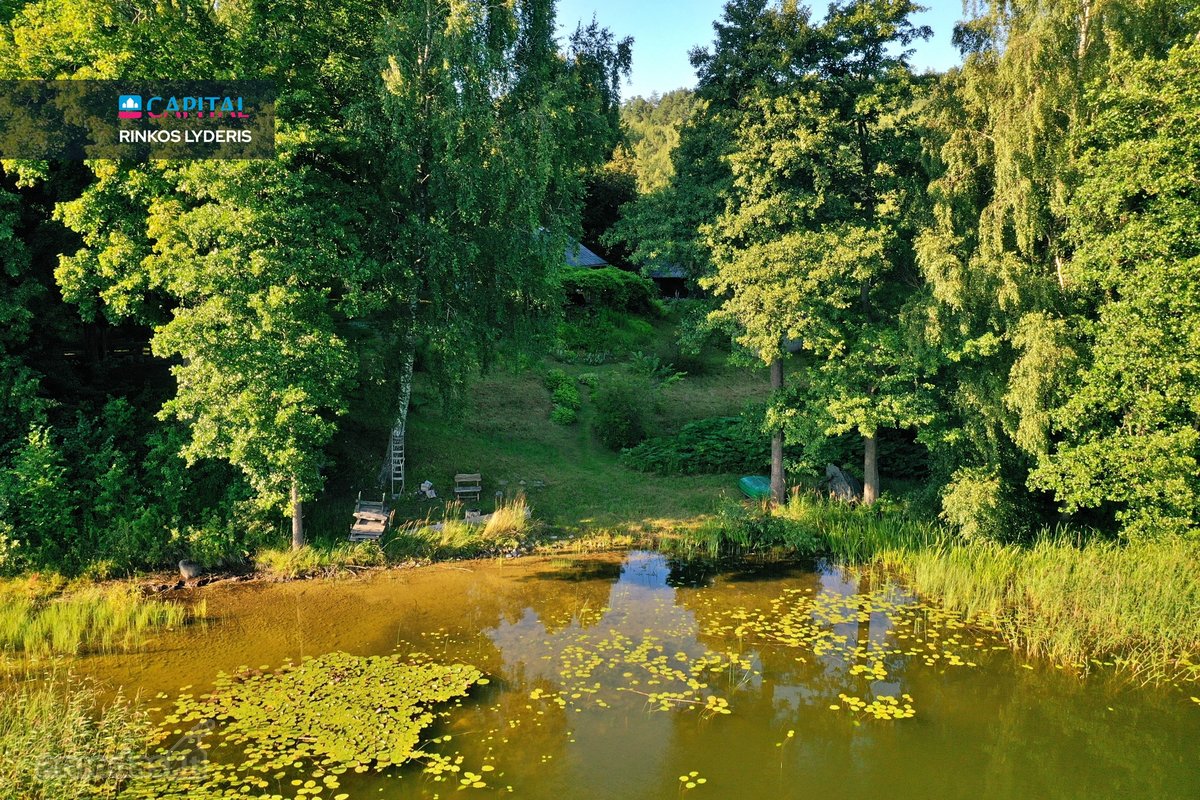 Išskirtinė 3,42 ha sodybvietė su beveik 500 m - nuotraukos Nr. 14