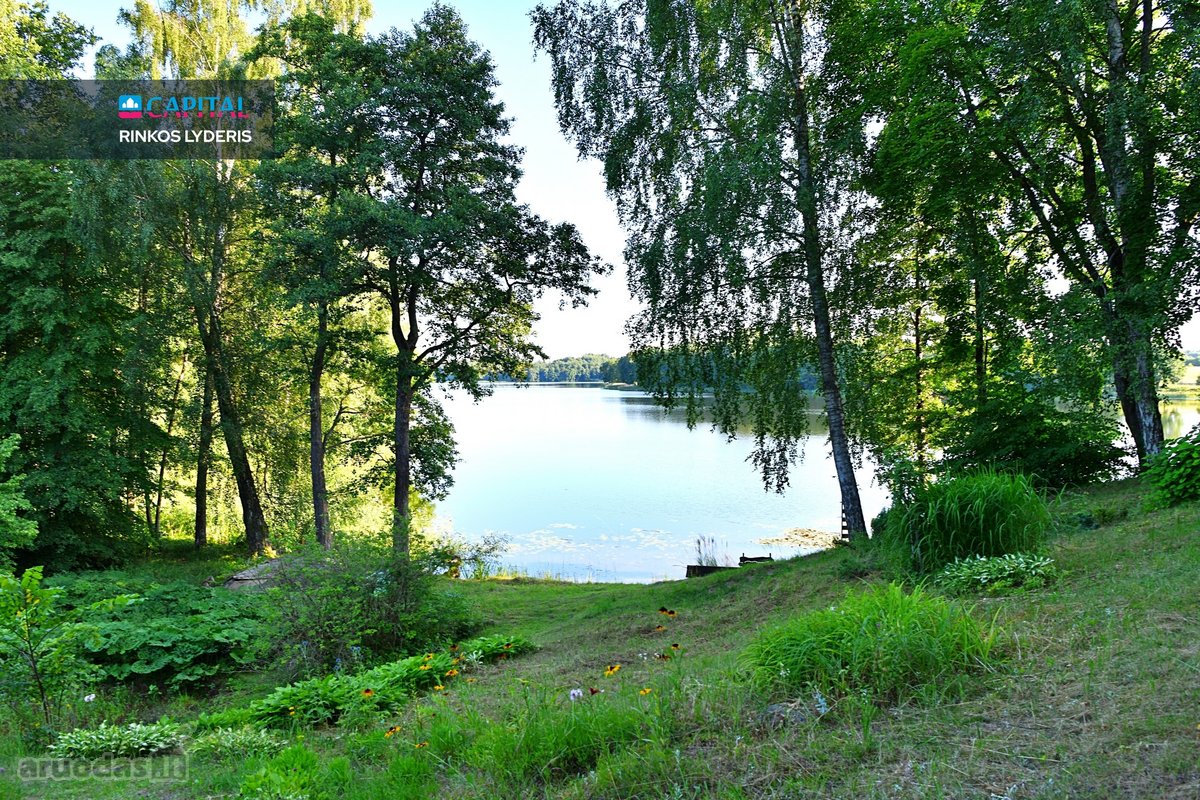 Išskirtinė 3,42 ha sodybvietė su beveik 500 m - nuotraukos Nr. 23