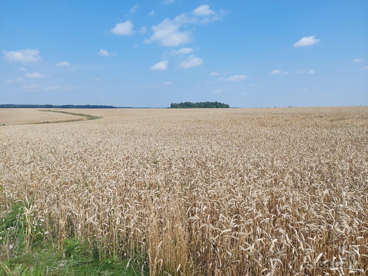 Parduodamas žemės sklypas Kėdainių r. Kilbisų - nuotraukos Nr. 2
