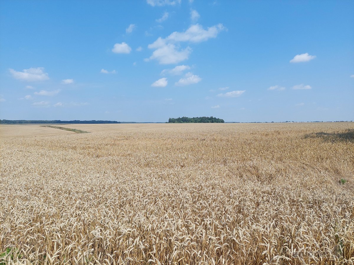 Parduodamas žemės sklypas Kėdainių r. Kilbisų - nuotraukos Nr. 3