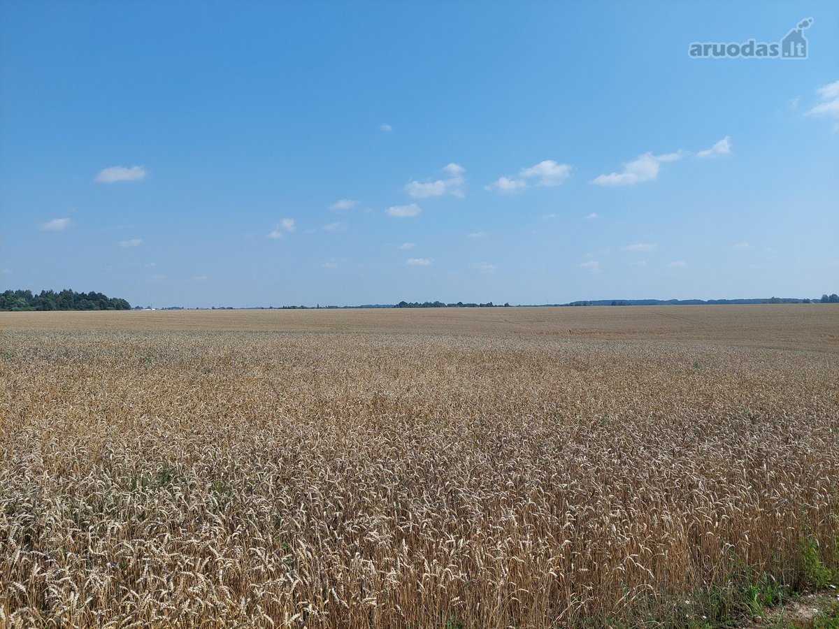 Parduodamas žemės sklypas Kėdainių r. Kilbisų - nuotraukos Nr. 4