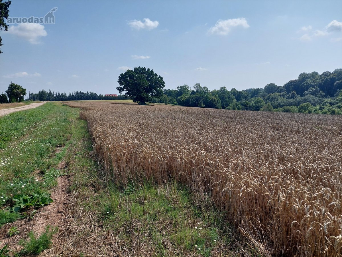 Parduodamas žemės sklypas Kėdainių r. Kilbisų - nuotraukos Nr. 6